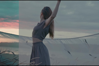 professionally color grade your videos