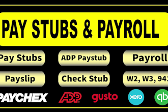 prepare w2, paystub, pay check, payroll