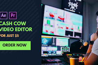 be your youtube cash cow video editor