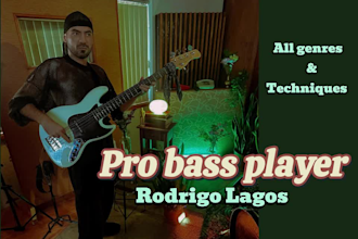be your pro bass player and record a groove bassline for you