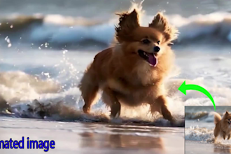 do image animation or animate picture in a loop