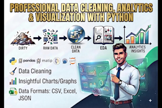 do data cleaning, analytics and visualization in python