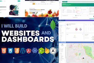 develop custom website dashboard as full stack web developer