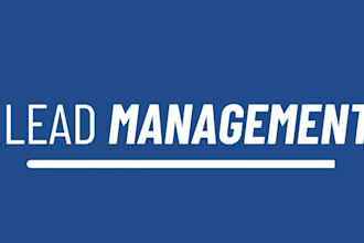 optimize your salesforce CRM for lead management and reporting