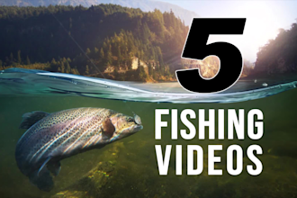 make 5 fishing logo intro video