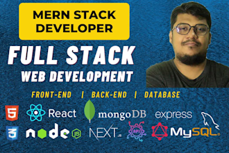 be a professional mern stack developer