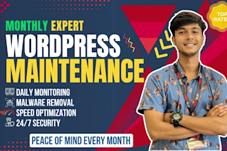provide expert monthly wordpress maintenance, security and analysis
