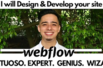 design or redesign and develop your website with webflow