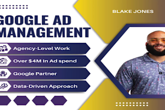 setup, manage, and optimize google ads campaigns