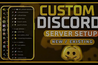 do a custom discord server setup with bots and automation