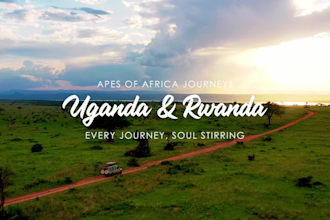 edit cinematic travel videos and vlogs professionally