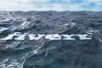 make realistic ocean logo reveal animation