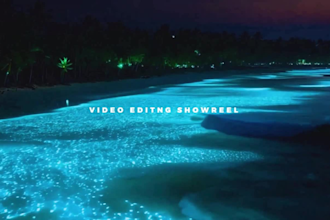 do professional video editing services in 24 hours delivery