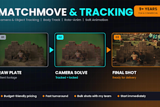 do professional camera tracking, matchmove, and 3d tracking