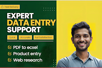 be personal virtual assistant for excel data entry,  copy paste, pdf to excel