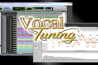 tune your vocals note by note to make them pitch perfect