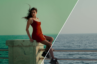 do professional video color grading and color correction