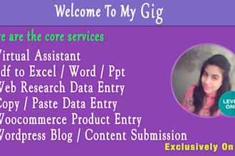 do data entry, web research and copy paste work in 24 hours