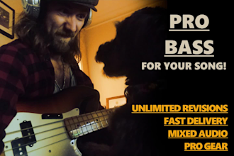 be your session bass player