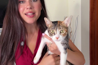 create cute and authentic ugc videos with my cats