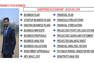 provide financial forecast, projections and business plan