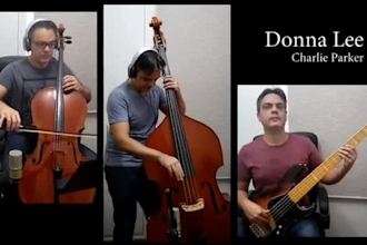 record a professional electric bass guitar and doublebass
