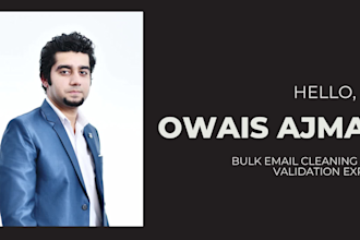 provide bulk email validation and list cleaning services