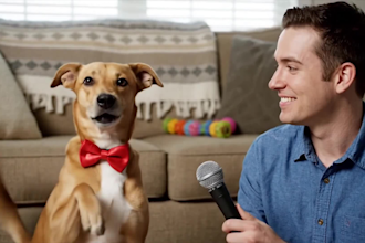 create ai talking animal ai animal video for your youtube