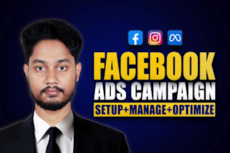 run targeted facebook and instagram ads campaign on a budget