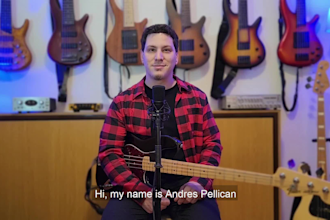 be your session bass player