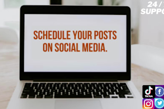 schedule your posts on social media professionally
