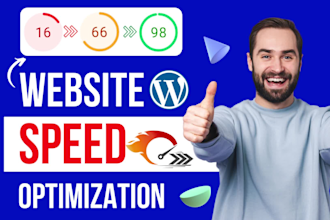 speed up wordpress website for google page speed insights, gtmetrix in 24 hours