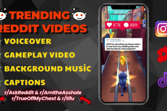 create viral reddit video for tiktok, reels, youtube shorts, in 24 hours