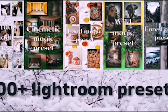 deliver premium lightroom presets for your social media