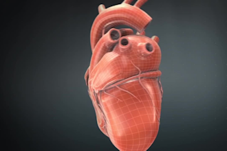create 3d medical moa and surgery animation