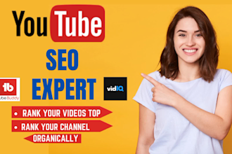 seo optimize your youtube video and organic channel promotion