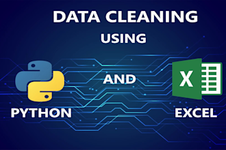 clean and organise your data set using python or excel