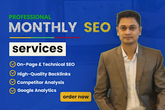 be all in one monthly SEO expert for better rankings
