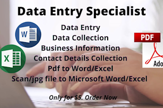 do data entry pdf to excel or word professionally
