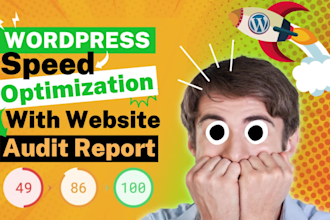 do wordpress website speed optimization and boost page speed
