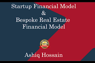prepare startup business plan or financial model