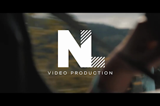 professionally video edit for you