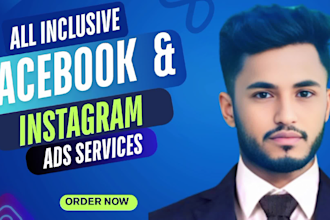 set up and manage facebook and instagram ads for your business