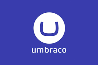 develop, fix or maintain your umbraco website