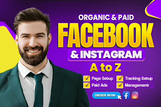 run facebook and instagram ads with neuro cro and meta ads analytics