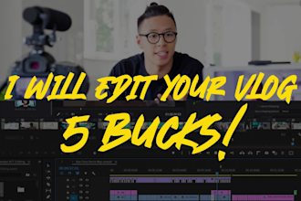 edit your vlog professionally