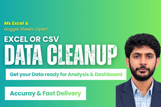 be your excel expert for data cleanup, formatting and sorting
