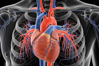 create ai medical animation ai medical video ai health explainer video