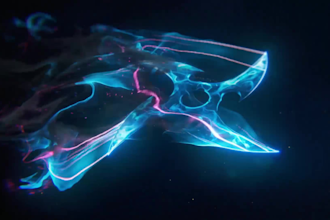 create ninja logo animation and 3d gaming intro video