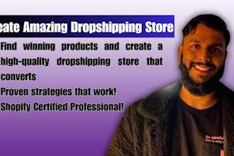 create an amazing niche dropshipping store, website